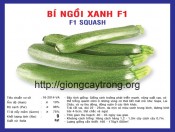 Hạt giống bí ngồi