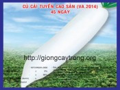 Hạt Giống Củ Cải Trắng Cao Sản