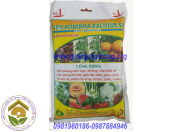 Chế Phẩm Sinh Học Trichoderma-Bacillus.sp