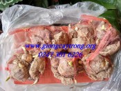 Củ giống hoa thủy tiên -Hướng dẫn trồng thủy tiên chơi tết