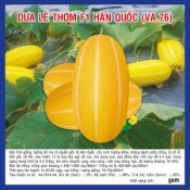 DƯA LÊ THƠM  F1 HÀN QUỐC - SIÊU NGON - NĂNG SUẤT CAO