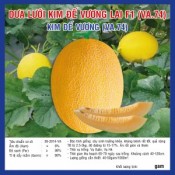 DƯA LƯỚI KIM ĐẾ VƯƠNG LAI F1 - tỷ lệ nảy mầm cao - hạt giống chất lượng