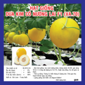 HẠT GIỐNG DƯA KIM CÔ NƯƠNG LAI F1 (VA.70) - SIÊU NGỌT - NĂNG SUẤT CAO