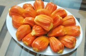 Mít Changai dễ trồng, nhanh cho thu nhập, giá ít khi thấp-giongcaytrong.org