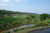 Kiên thiet nong thon-giongcaytrong.org