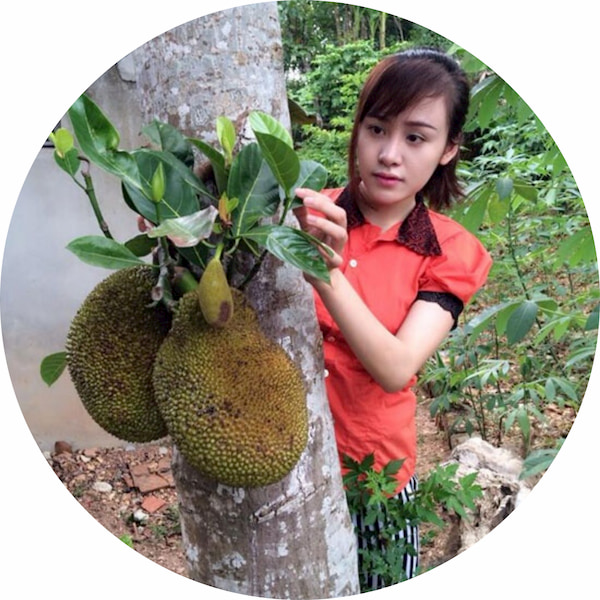 phan hoi khach hang