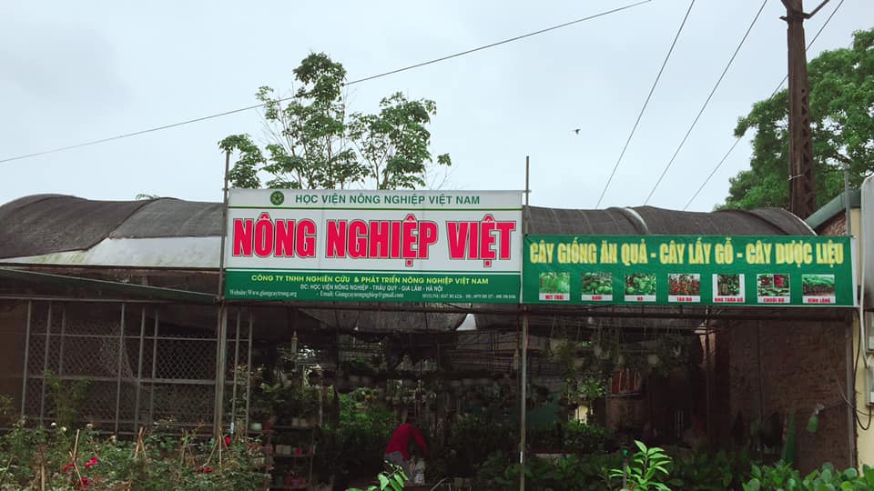 vuon uom cay giong nong nghiep viet