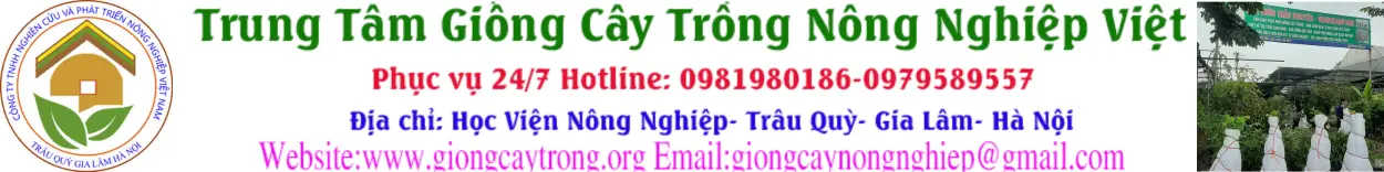 Trung Tâm Giống Cây Trồng Nông Nghiệp Việt- Học Viện Nông Nghiệp