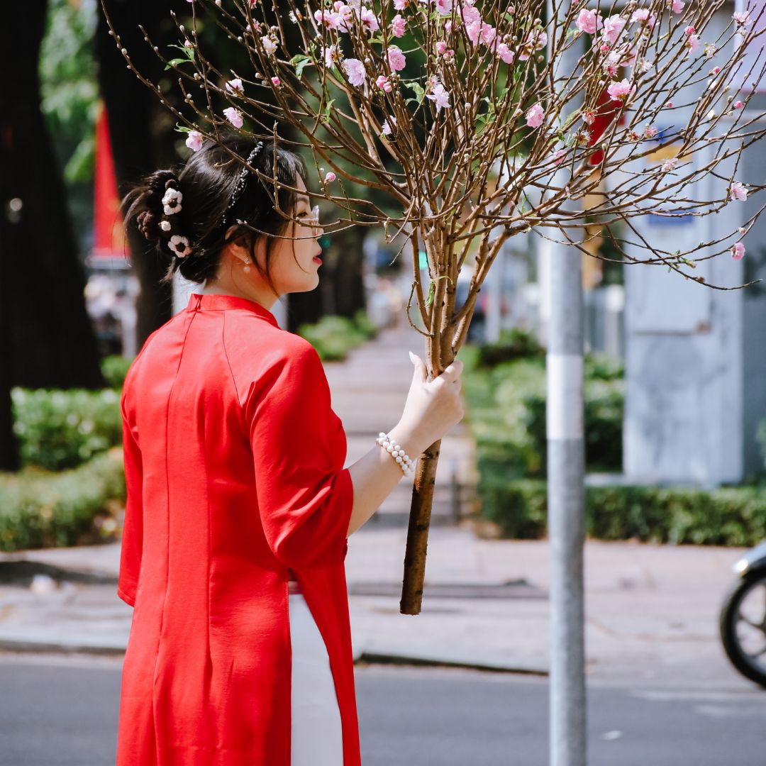 Ý Nghĩa Phong Thủy Của Cây Hoa Đào Trong Văn Hóa Việt Nam (1)