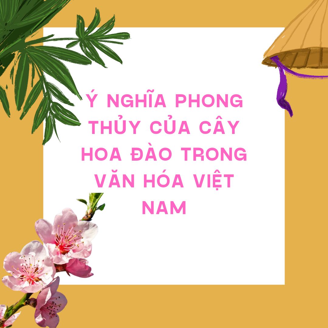 Ý Nghĩa Phong Thủy Của Cây Hoa Đào Trong Văn Hóa Việt Nam