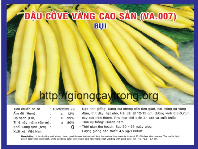 Hạt giống đậu cove vàng