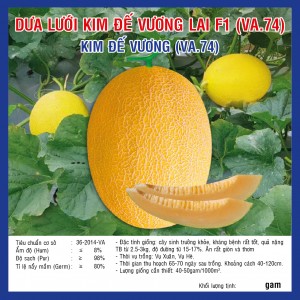 DƯA LƯỚI KIM ĐẾ VƯƠNG LAI F1 - tỷ lệ nảy mầm cao - hạt giống chất lượng