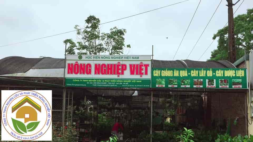 vuon uom nong nghiep viet