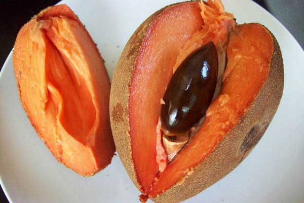 gioi thieu mot vai dac diem cua giong hong xiem ruot do