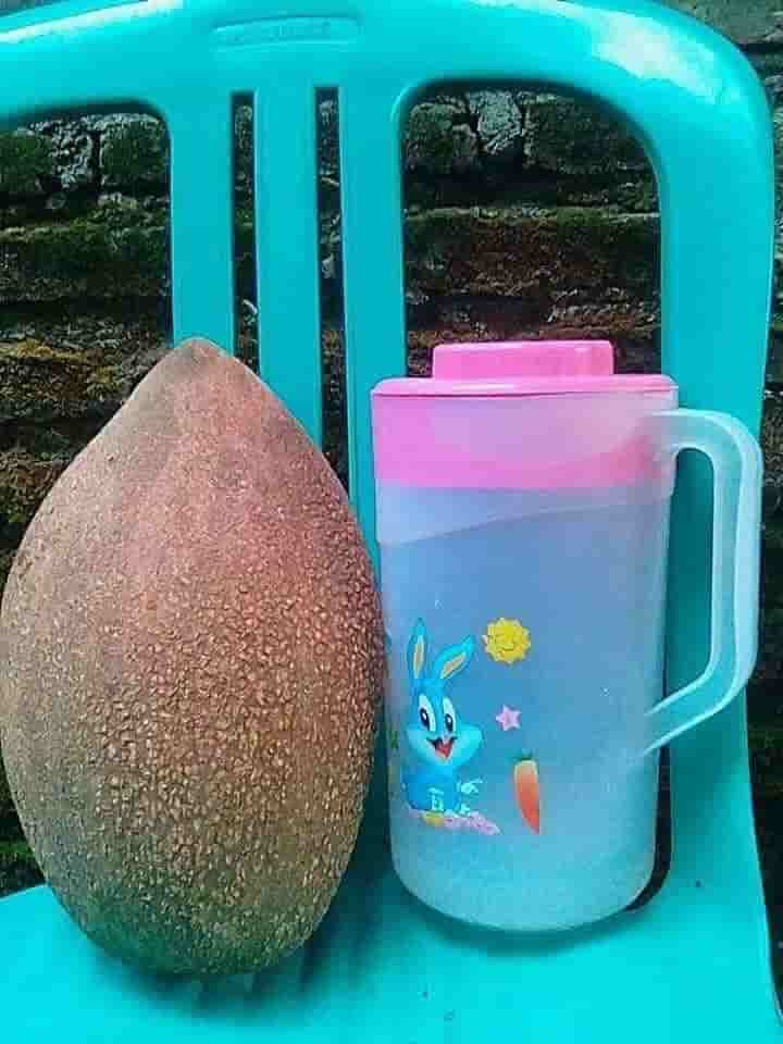 qua hong xiem ruot do khong lo