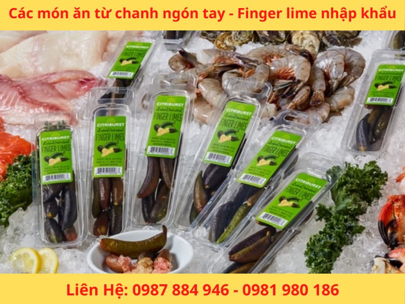 Cây giống chanh ngón tay Fingerlime chanh Úc nhập khẩu mới