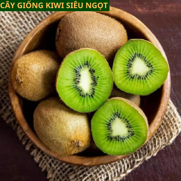 Cây Giống KiWi nhập khẩu ruột vàng ăn ngọt