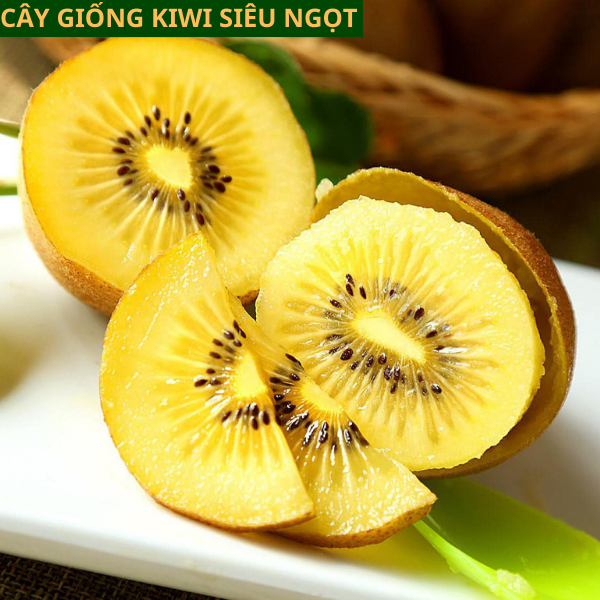 Cây Giống KiWi nhập khẩu ruột vàng ăn ngọt