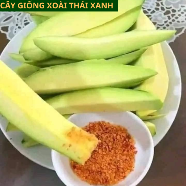 Cây giống xoài Thái Lan vỏ xanh ăn giòn ngọt mát dễ trồng cho quả sau 1 năm