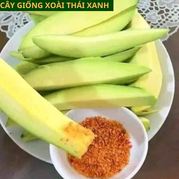 Cây giống xoài Thái xanh ăn ngọt mát dễ trồng cho quả sau 1 năm