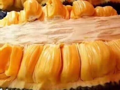 múi mít siêu dài malaysia