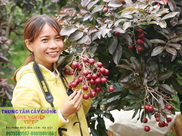 Ngươi đẹp bên nhãn tím