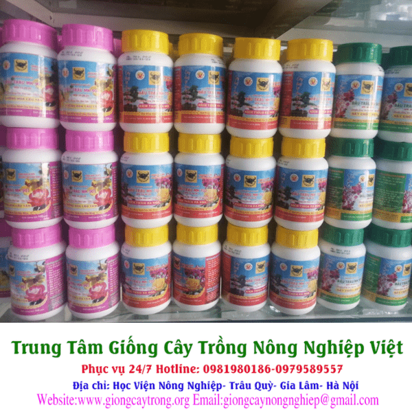 Phân bón dưỡng hoa lâu tàn 901