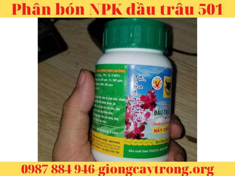 Phân bón NPK đầu trâu 501 nảy chổi ra lá
