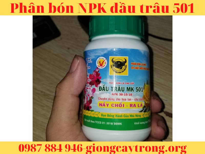 Phân bón NPK đầu trâu 501 nảy chổi ra lá