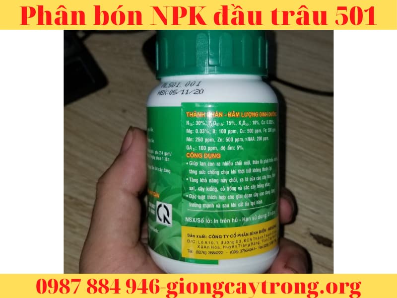 Phân bón NPK đầu trâu 501 nảy chổi ra lá
