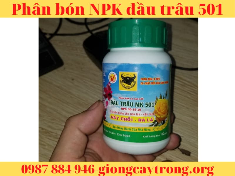Phân bón NPK đầu trâu 501 nảy chổi ra lá