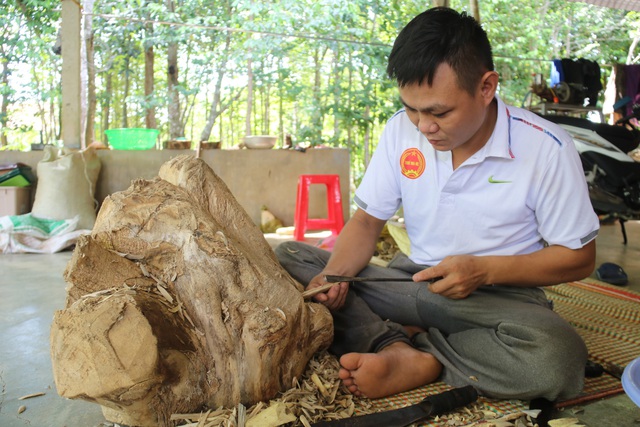 Về “thủ phủ” cây gió trầm Hà Tĩnh xem lấy trầm hương