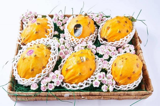 Choáng với dàn trái cây ngoại ‘chỉ trời Tây mới có’ được trồng hữu cơ tại Bình Thuận