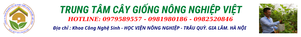 Trung Tâm Giống Cây Trồng Nông Nghiệp Việt- Học Viện Nông Nghiệp